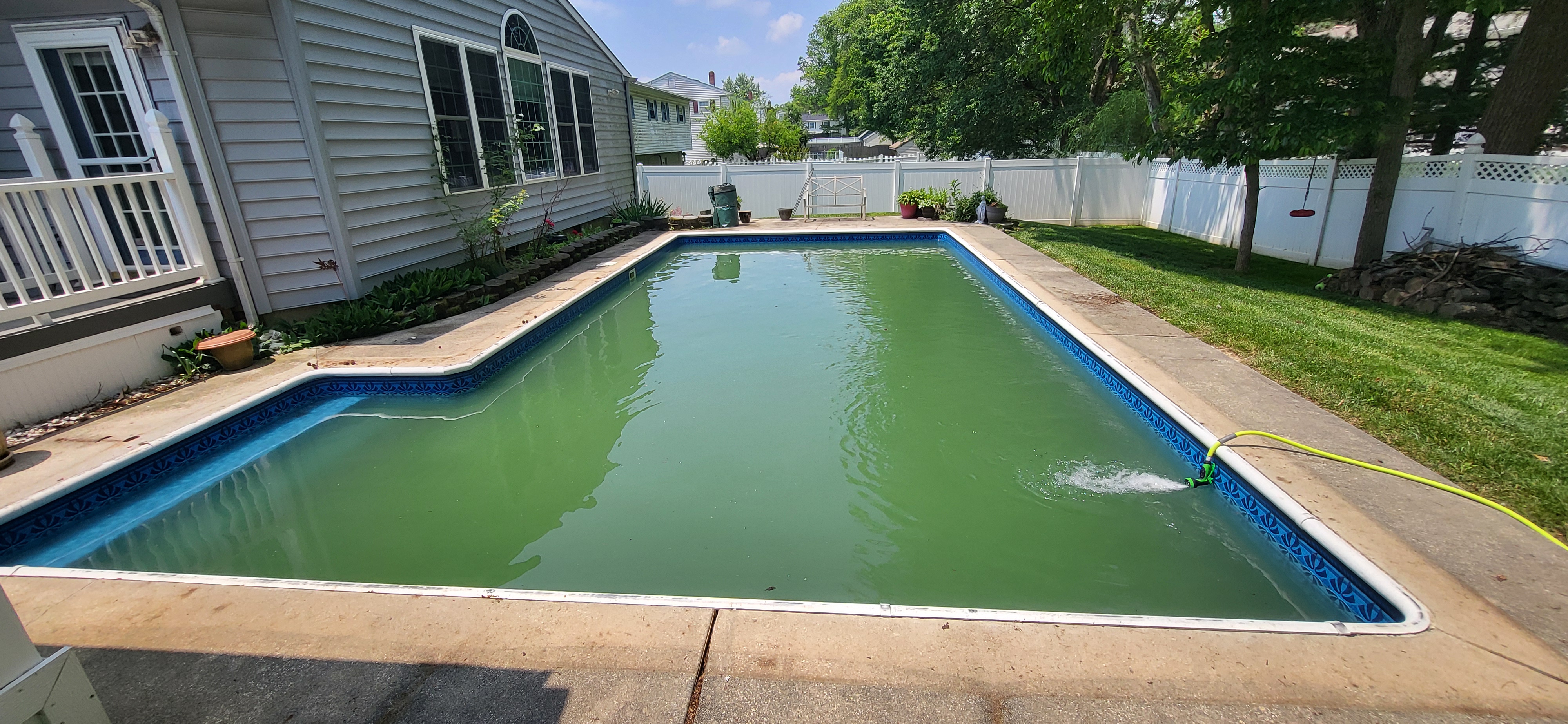 Green pool before service